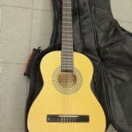 887 3655 Gitarr